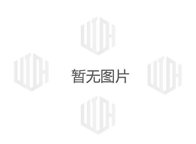 鼎高瑞隆股份有限公司的工(gōng)藝技(jì)術研發與創新
