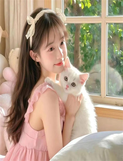 二龙湖往事惊魂夜在线播放_太阳的后裔在线观看_高校发卫生纸福利